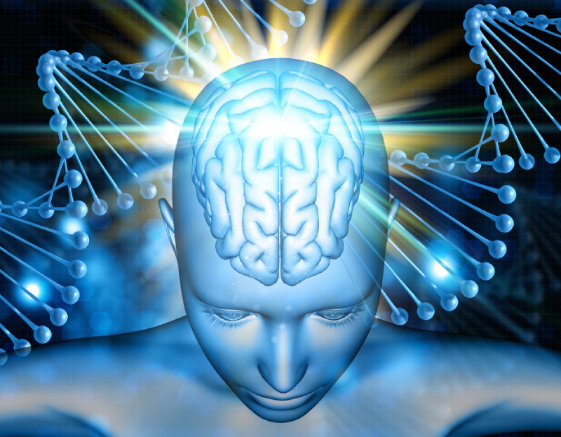 Une représentation qui met en avant un cerveau artificiel lumineux, exposé à travers un crâne ouvert, avec des chaînes d'ADN en arrière-plan. L’image évoque l'exploration des mystères de la pensée humaine, captivant l'imagination et la curiosité sur la complexité de l'esprit humain.